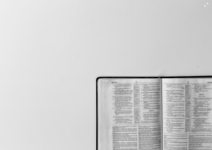 gregholder scripture blog