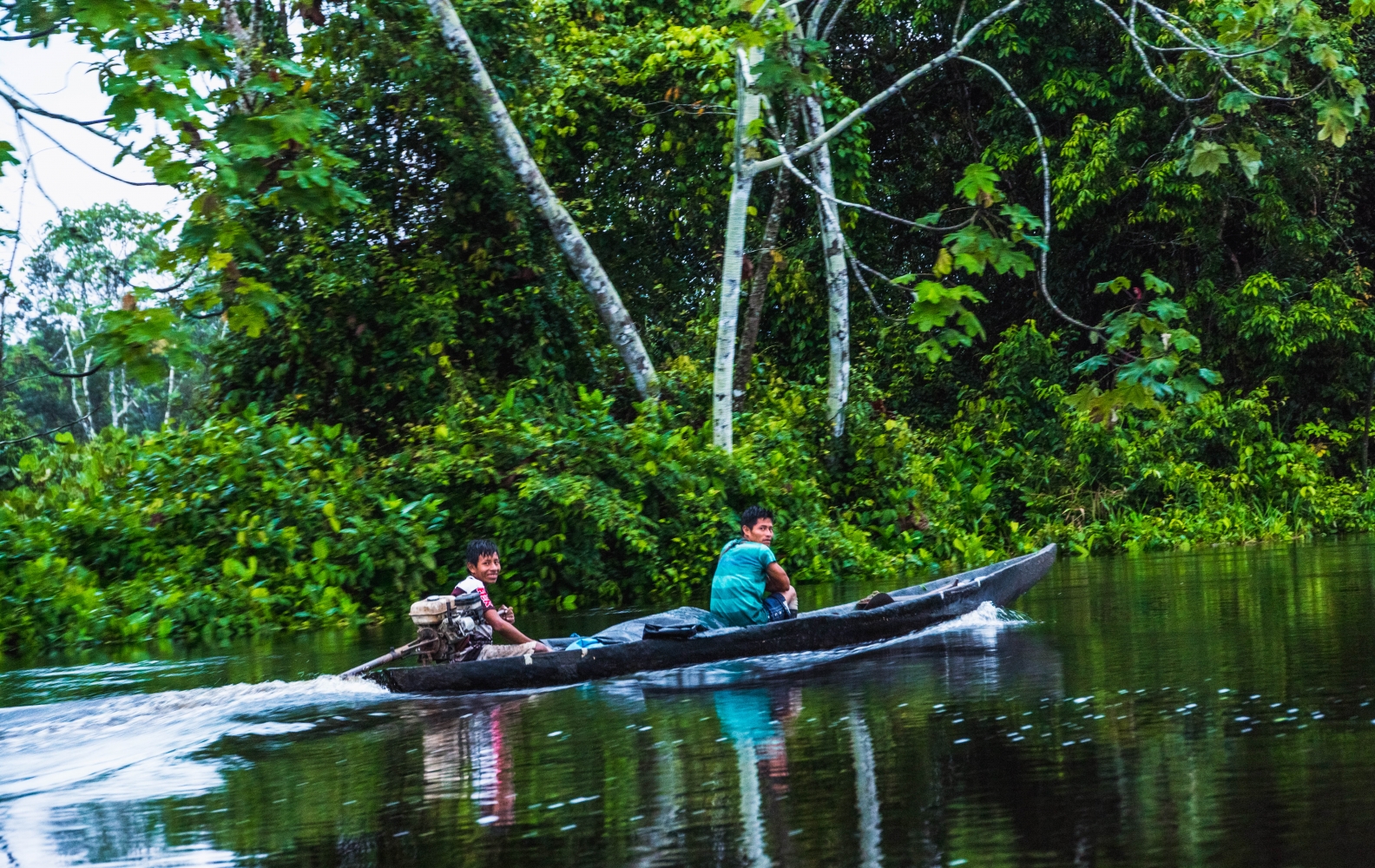 Into the Amazon Jungle